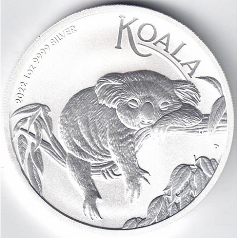 2022. Onza Australia. Koala