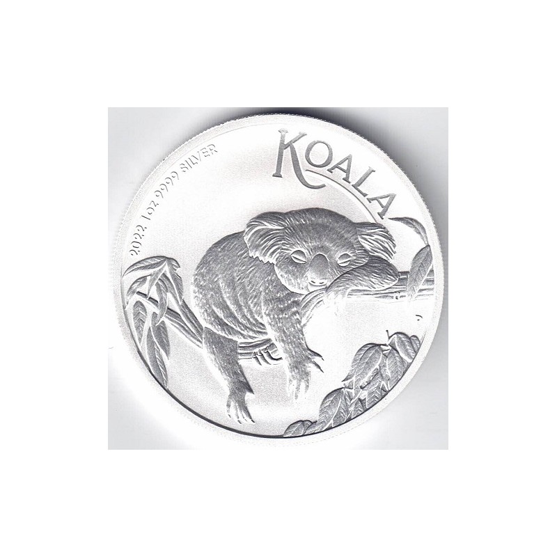 2022. Onza Australia. Koala