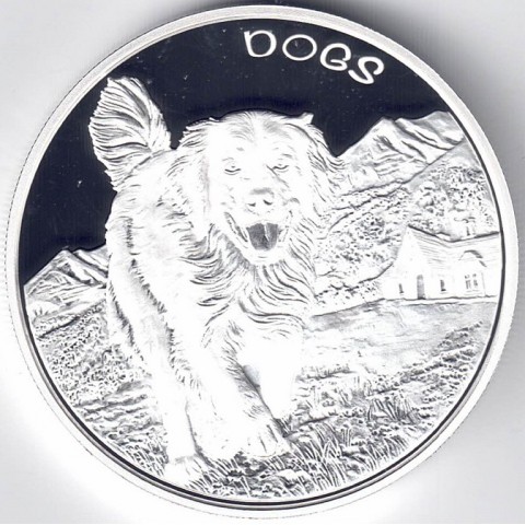 2022. Onza Fiji. Perros
