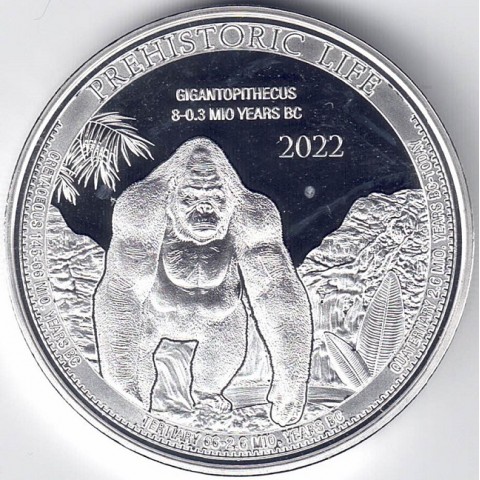 2022.Onza Congo.Gigantopethicus