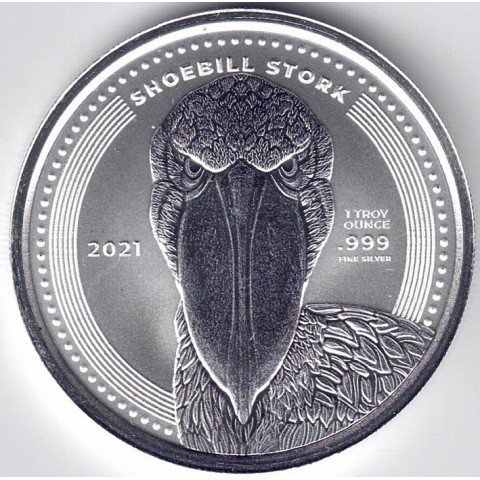 2021. Onza Congo. Cigüeña