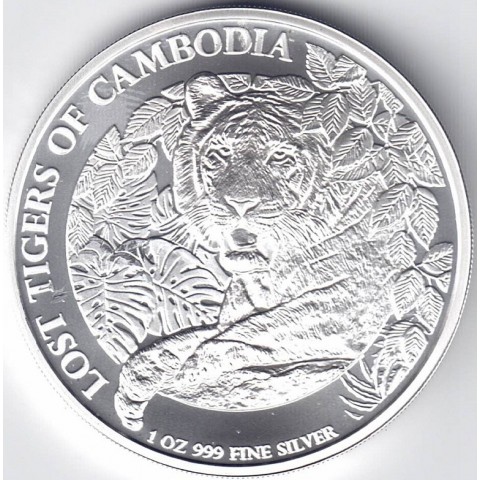 2023. Onza Camboya. Tigre