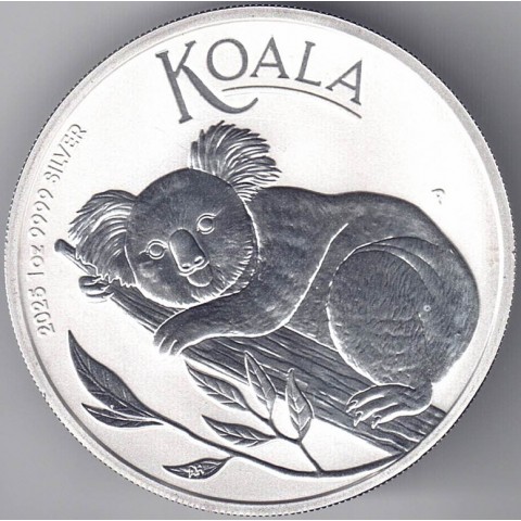2025. Onza Australia. Koala