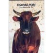 2025. 2 Euros Malta. Buey coincard