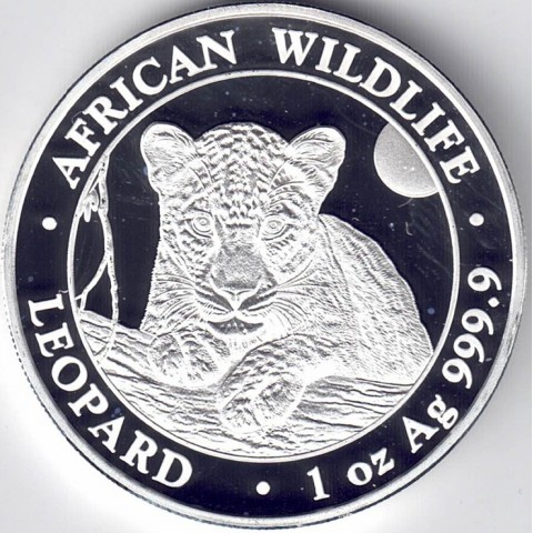 2025. Onza Somalia. Leopardo